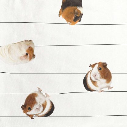 SNURK cavia white longsleeve dress nu met korting ! - Afbeelding 3