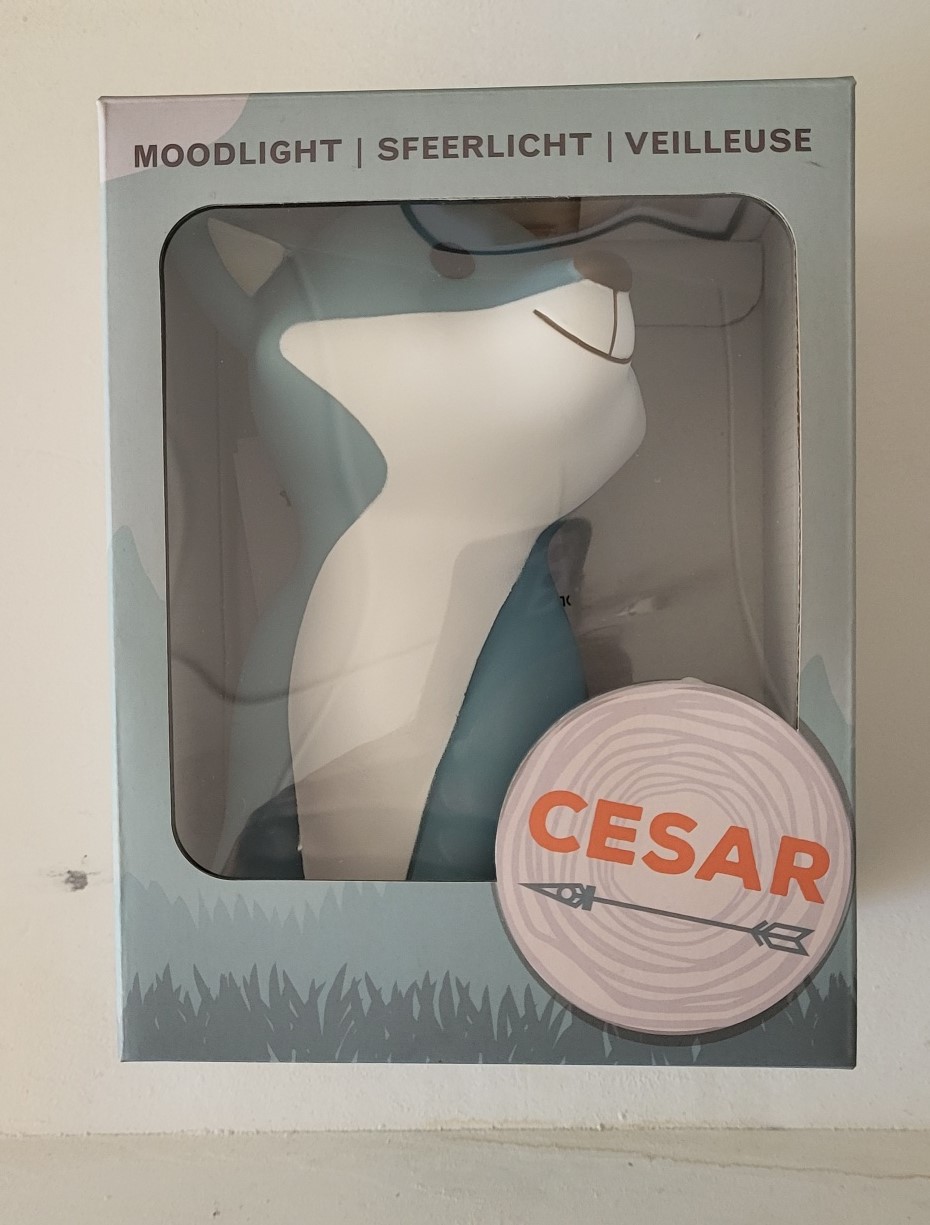 Nachtlampje Cesar de Vos van Atelier Pierre cactusblauw - Afbeelding 9