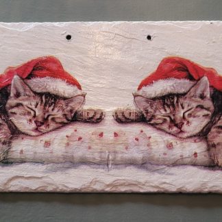 Wanddecoratie met 2 slapende katten